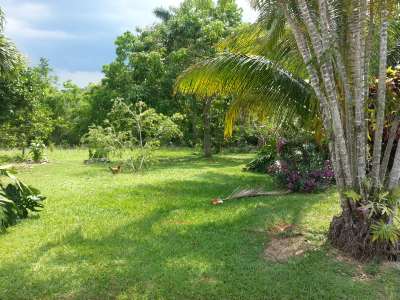 'Courtyard' Casas particulares are an alternative to hotels in Cuba.